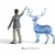 Harry Potter in Patronus