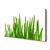 tulup.si Slika na platnu Grass on wall 125x50 cm