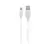 Maxlife kabl (USB-USB-C) 3m 2A beli ( 21264 )
