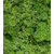 Premium mahovina, 250g