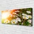 tulup.si Slika na platnu Marjetice flowers rays 120x60 cm