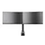 IIYAMA Stoni nosač za monitor DS1002C-B1