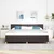 Vidaxl LED Box Spring Postelja Temno rjava 200 x 200 cm blago
