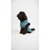 Paws & Whiskers Odelo za pse Daily, Plavo