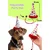 Paws & Whiskers Set igračaka za pse Havhav 1035, 2 komada, Šareni