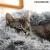 InnovaGoods Anti-stress Pet Bed Bepess InnovaGoods O 60 cm