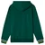 Moški pulover CCM Stripe Pullover Hoodie Green M