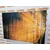 Slika sonce za drevesi - 30x20
