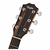 TAYLOR 210ce