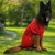 Paws & Whiskers Odelo za pse Kirmizipatisweat, Crveno