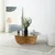 Hanah Home Klub sto Lily 90x30x90cm Hrast