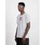 ALPHA INDUSTRIES Majica  siva / rdeča / črna