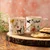 Porcelain mug, 250 ml, Cat - Mikasa