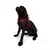 Paws & Whiskers Am za pse Air-Mesh, Bordo