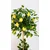 Limonino drevo Umetno citrusno drevo 150 cm