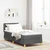 Vidaxl LED Box Spring Postelja z blazino Temno siva 80 x 200 cm blago