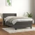 MAISON CHIC Box spring postelja - Vzmetna postelja z vzmetnico temno siva 90x200 cm žamet SL14256, (21900546)