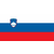 Slovenija zastava 140x70 cm