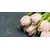 Slika pastelni rožnati tulipani - 140x70