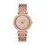 Ure Michael Kors MK3399