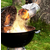 Weber Master-Touch™ Premium E-5770, Black