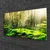 tulup.si Steklena slika Forest moss narava 120x60 cm 4 obešalnika