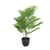 MID.YOU Umetna Rastlina Areca