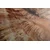 Slika steza v Grand Canyonu - 30x20