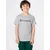 Champion Authentic Athletic Apparel Majica svetlo siva/rdeča/črna/bela
