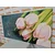 Slika pastelni rožnati tulipani - 60x30