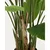 Umeten bananovec (višina 210 cm) – Kave Home