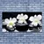 tulup.si Slika na platnu Orchid rastlin stones 140x70 cm