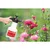 Birchmeier Tlačna škropilnica Spray-Matic 1,25 l, 3 bari