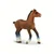 Safari Žrebe Clydesdale