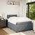 Vidaxl Box spring postelja z vzmetnico temno siva 120x200 cm žamet