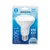 LED sijalica R90 E27/15W/230V 6500K - Aigostar