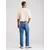 LEVIS  Kavbojke 501 moder denim