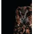 Fototapeta sova - 245x270