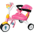 ZAPF CREATION Tricikel Zapf BABY born