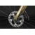 RINOS Odin1.0 Carbon cestno kolo Shimano SORA R3000 kolesarsko kolo iz ogljikovih vlaken, zlata/rjava, 58 