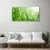 tulup.si Slika na steklu Narava grass drops 120x60 cm 2 obešalnika