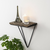 HANAH HOME Phalaenopsis