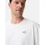 CAMEL ACTIVE Majica  zelena / bela