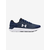 Under Armour Charged Rogue 2.5 Running Tenisice 516554 plava