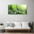 tulup.si Slika na steklu Grass nature dew drops 100x50 cm 4 obešalnika