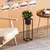 Aberto Design Dekorativna saksija GED-023, 15x50x15 cm, O 12 cm ,, Crna