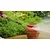 Bosch promenljiva rotaciona, lepezasta mlaznica za perače pod visokim pritiskom AQT, EasyAquatak, UniversalAquatak, AdvancedAquatak, F016800582