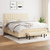 vidaXL vidaXL Box spring postelja z vzmetnico krem 180x200 cm blago, (20894524)