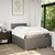 Vidaxl Box spring postelja z vzmetnico taupe 120x200 cm blago