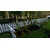 Garden Simulator (Playstation 4)